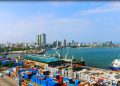 Global Container Crunch hits Tanzania’s Cashew Nuts Exports