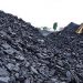 Coal exports surge at Mtwara Port